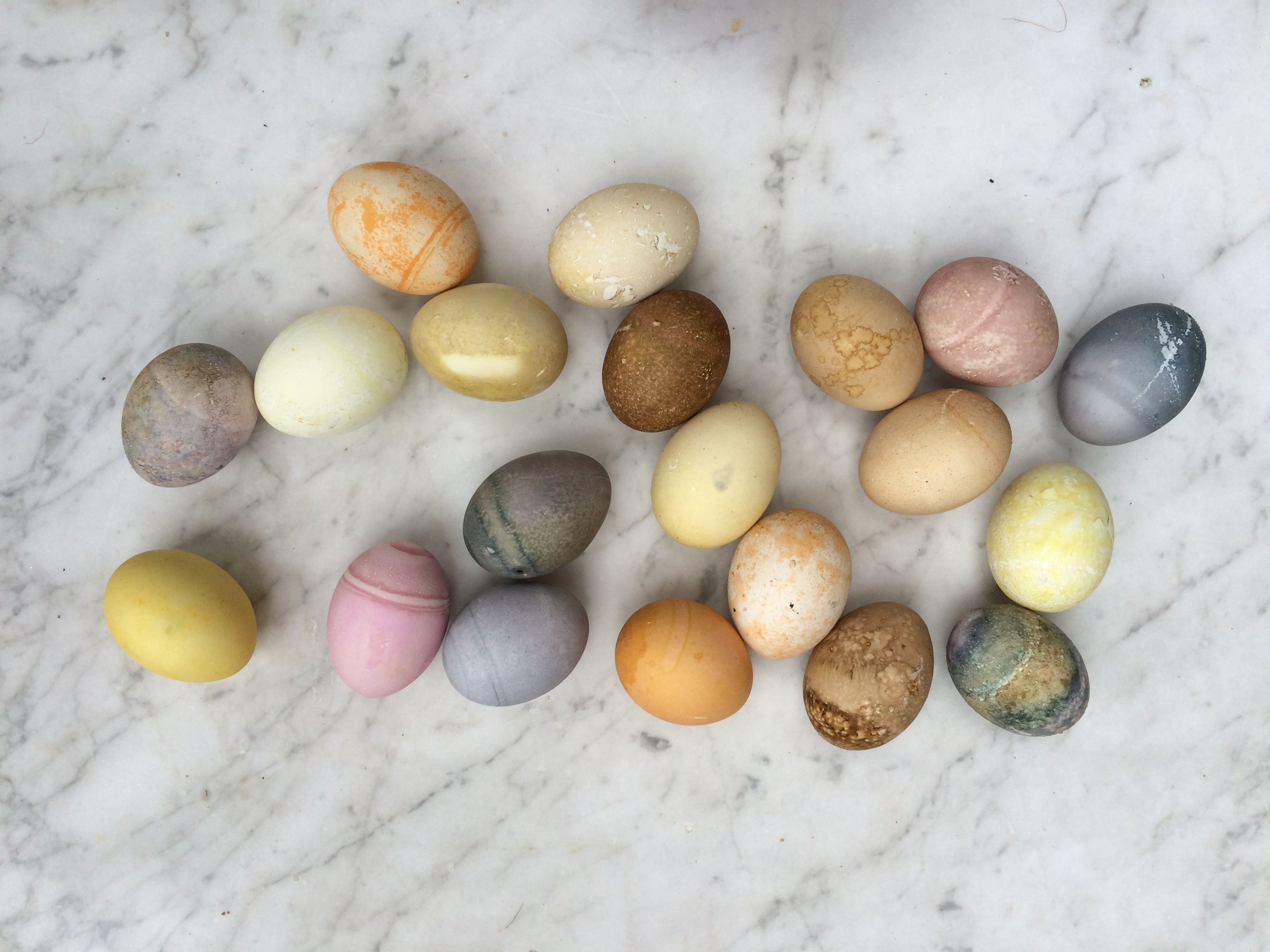 Easter Decorations (50)